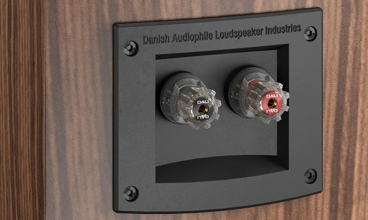 RUBICON 2 | The perfect blend of size and sound | DALI Loudspeakers